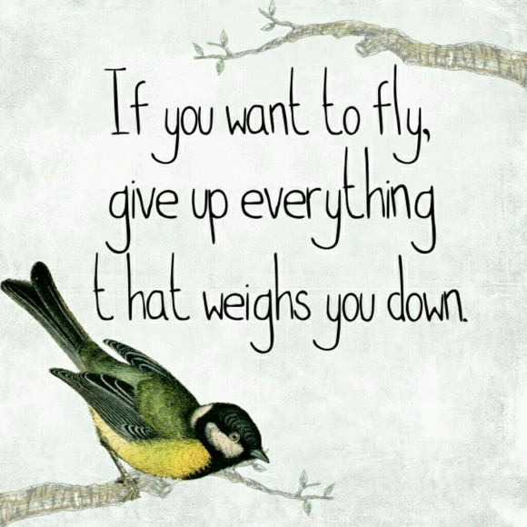 Meet your Posher, Jodi - Picture 1 of 1